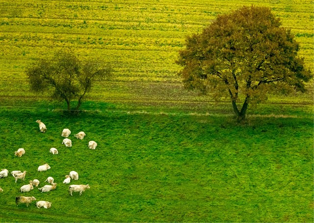 Postkarte-Entuwrf-02-einzel Page7